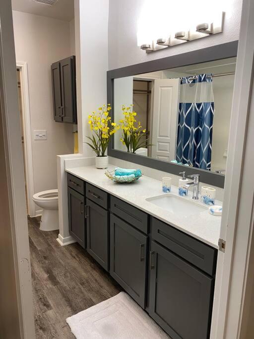 Your Warm Spacious Unit With Pool - Medical Center Houston Eksteriør billede
